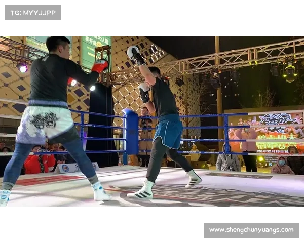 2020年格斗比赛 2020年格斗比赛