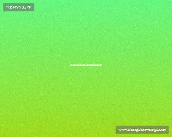 聚焦网球全球盛事：四大满贯荣耀之战与未来前瞻